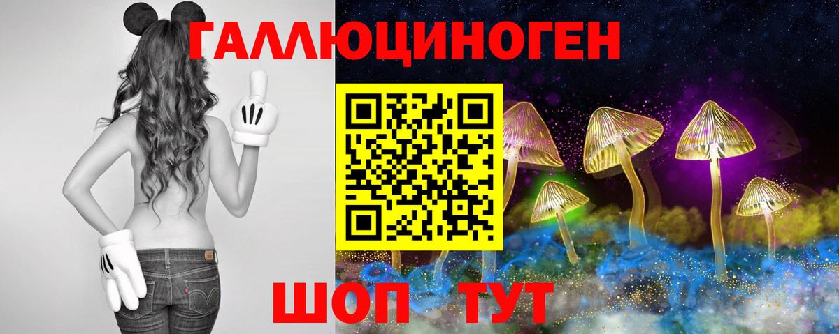 где купить наркотик  Вход с VPN  Шадринск  Псилоцибиновые грибы мицелий 